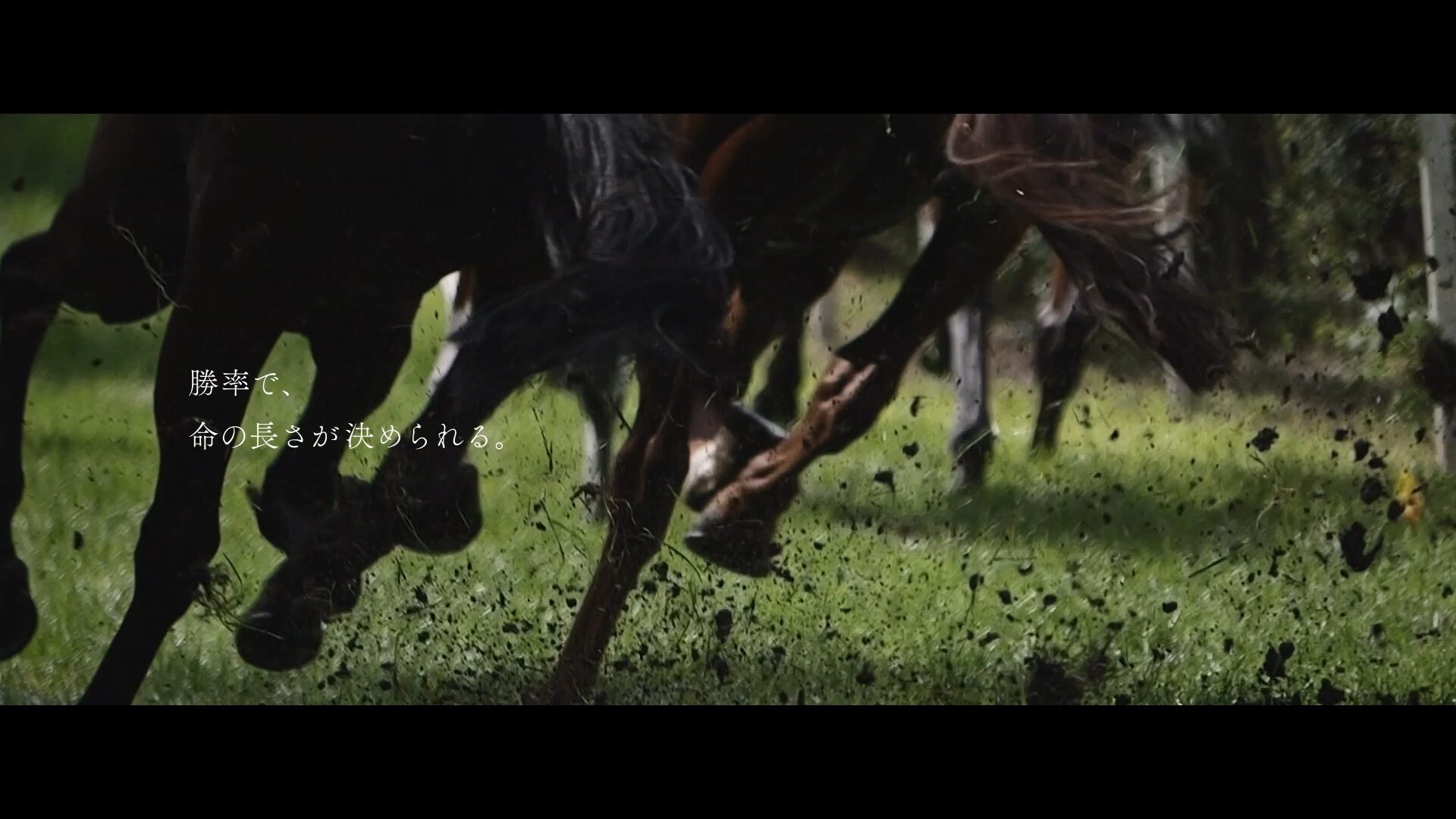 石川県珠洲市「みんなの馬」ステートメントムービー